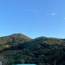 줄라이 밀양 이미지