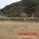 반회서1길 이미지