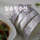 위미항 맛집 제주 일송회수산 꼭 먹어야 할 모듬회