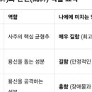 태양항공여행사주