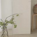 장미 수선 | 꽃배달 스튜디오수선 삼척 갈천동 가격 후기