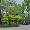 황지동우체국 이미지