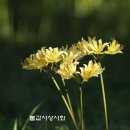 아름다운상사 이미지