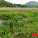 선유담 뉴시스