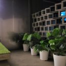 스테이 다옴 이미지