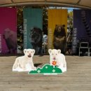 가창골가마솥국밥 이미지