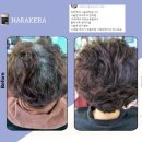 캔미용상사