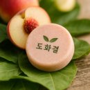 홀로닉아로마 | 2025년 소상공인 업종전문 기술교육 /(업종심화) 화장비누 제조 처방 심화 과정 /홀로닉아로마부설학원