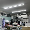 고돼지신천
