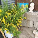 미양우체국 | 안성무료전시 아이와 함께한 감성 나들이 후기 미양무이미술관