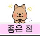 벨하우스글램핑