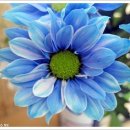 좋은인연 이미지