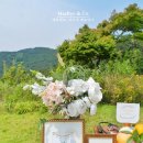 우진앤코 | 가원에서 야외 돌잔치 촬영, 너무 예뻐서 두말하면 잔소리 매료앤코의 야외파티 스타일링 (부산돌상대여)