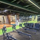 GWG복싱아카데미 이미지