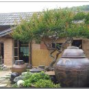 잎새바람 이미지