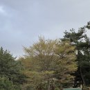 현곡 휴 | [경주카페/현곡카페] 소디스커피