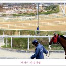 파크 이미지