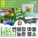 광창마을 웰빙카케어 앞 | 연봉정마을 케일즙 맛있었던 원주 농촌체험 후기