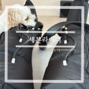 임산부 다리 뭉침 때문에 힘들어서 써봤어요 ‘세븐라이너’ 내돈내산 마사지기 후기
