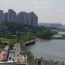 보고봄 Daum카페