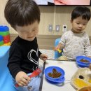 일도왕서방 이미지