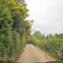 여주-0515 이미지