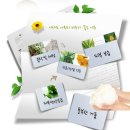 (주)민트메디컬 이미지