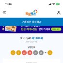홀리데이비지터 이미지