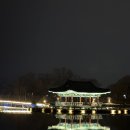 궁남지 그네 #4 | [부여] 밤에도 예쁜 '궁남지' 부여 여행지 추천 주차 야간개장 운영시간