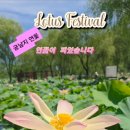 궁남지 서문주차장 화장실 네이버블로그