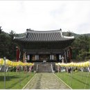 수운교 Daum카페