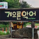 더멍멍 충주점 | 📍 게으른악어 카페 아이랑 다녀온 솔직후기 (엄마가 더 설레는 곳)