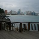 프로젝트409