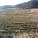 수산리-6 이미지