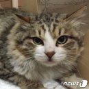 주연동물병원 이미지