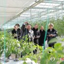 방대농장 이미지