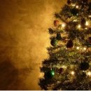 안동한우 이미지