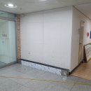 소나무파인트리(PINE TREE) 이미지