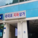 샌디샐리 이미지