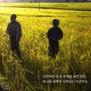 11.9(토요일) 오후 3시 인사동길 등 주변 걸어봅니다^^ 이미지