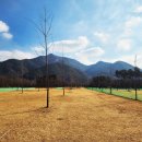 진안파크골프장 이미지