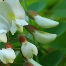 유밀농장 이미지