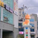 아일랜드 수월점 네이버블로그