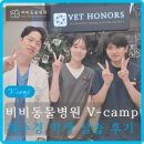 BB 동물병원 | 기본이 가장 강력한 무기다. 비비 동물 병원 V-camp 실습 후기(채수경 학생)
