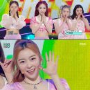 비주얼퍼포먼스
