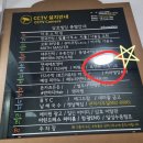 너무 예쁜 자연광 광명스튜디오 르앤유스튜디오 촬영후기