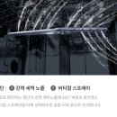 스팀온 이미지