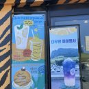 [제주 / 성산] 제주 도넛 맛집 발견!!! 이곳은 꼭 가봐야해~ &#34;제주호랭이 성산점&#34;