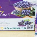 순창전시판매장 이미지