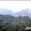 별밭식당 이미지